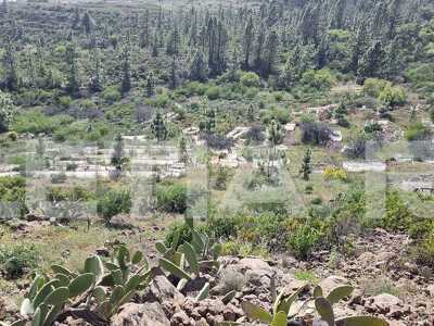 TB1003: Rustic Finca in Vilaflor with Apero's room