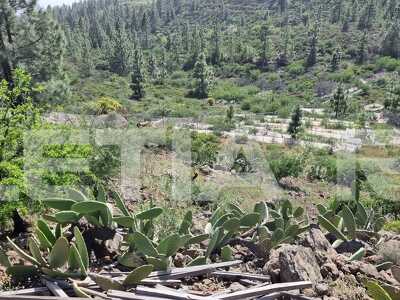 TB1003: Rustic Finca in Vilaflor with Apero's room